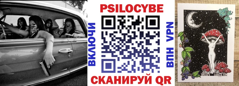 купить закладку  Оса  Галлюциногенные грибы мицелий 
